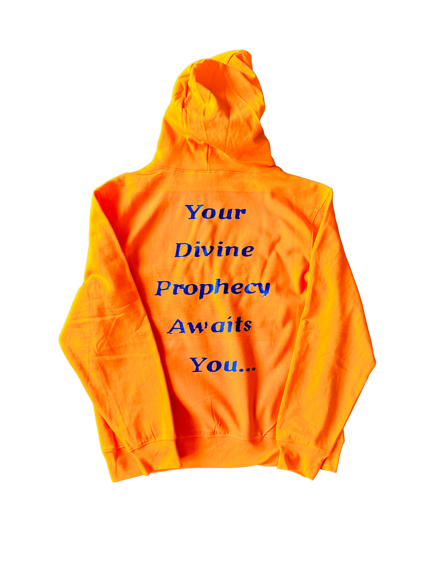 THE DIVINE PROPHECY COLLECTION (Hoodie)