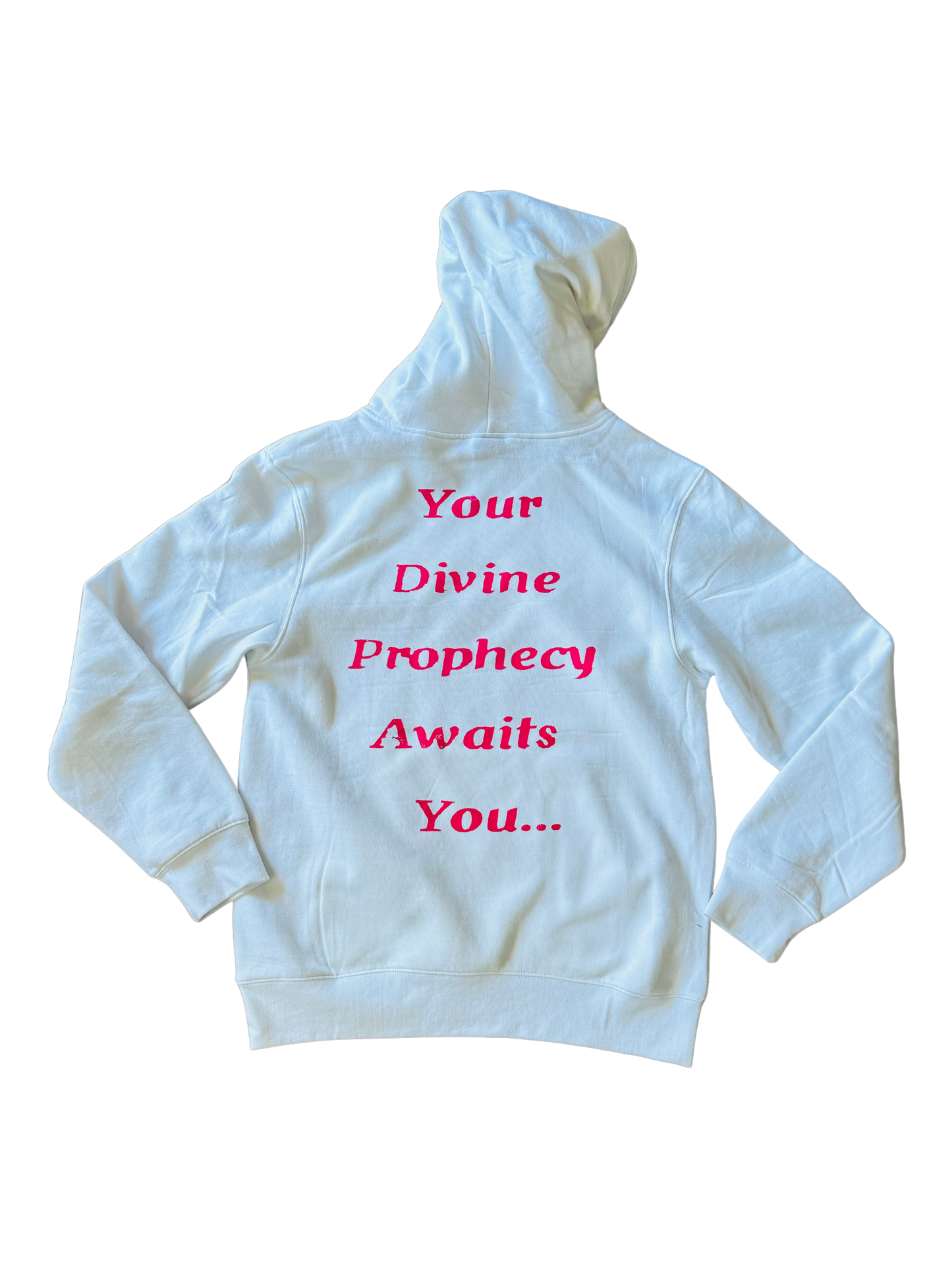 THE DIVINE PROPHECY COLLECTION (Hoodie)