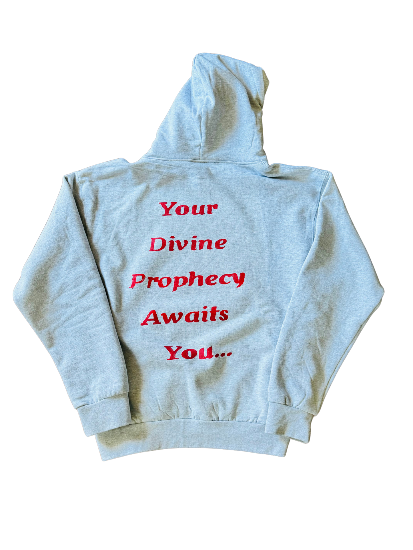 THE DIVINE PROPHECY COLLECTION (Hoodie)