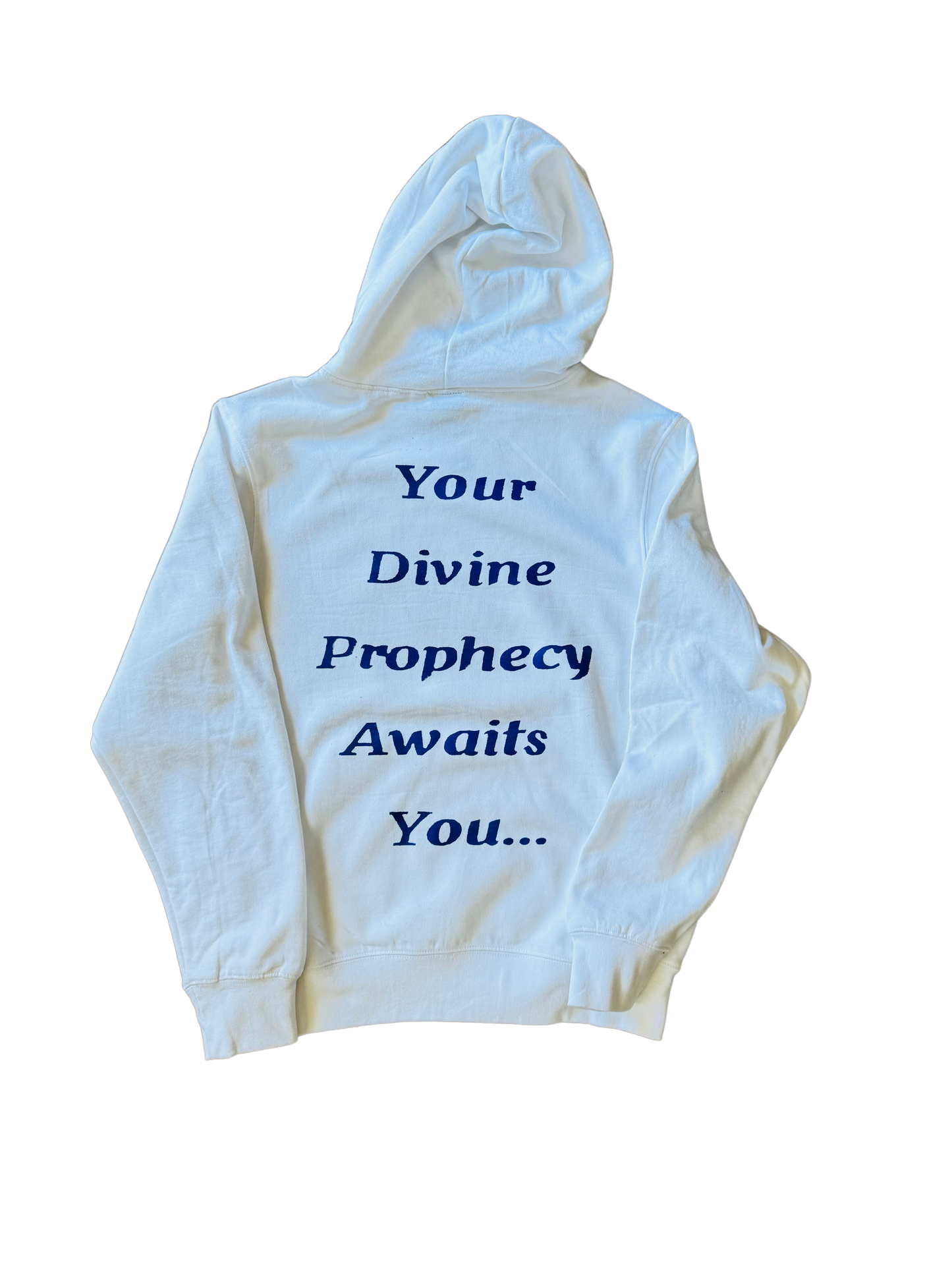 THE DIVINE PROPHECY COLLECTION (Hoodie)