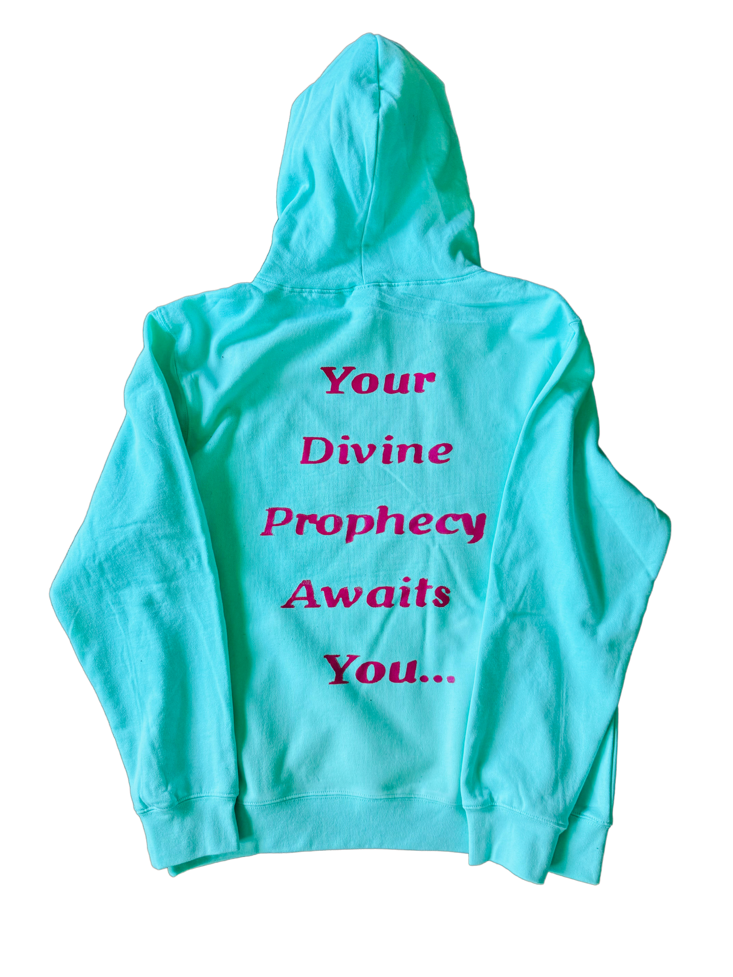 THE DIVINE PROPHECY COLLECTION (Hoodie)