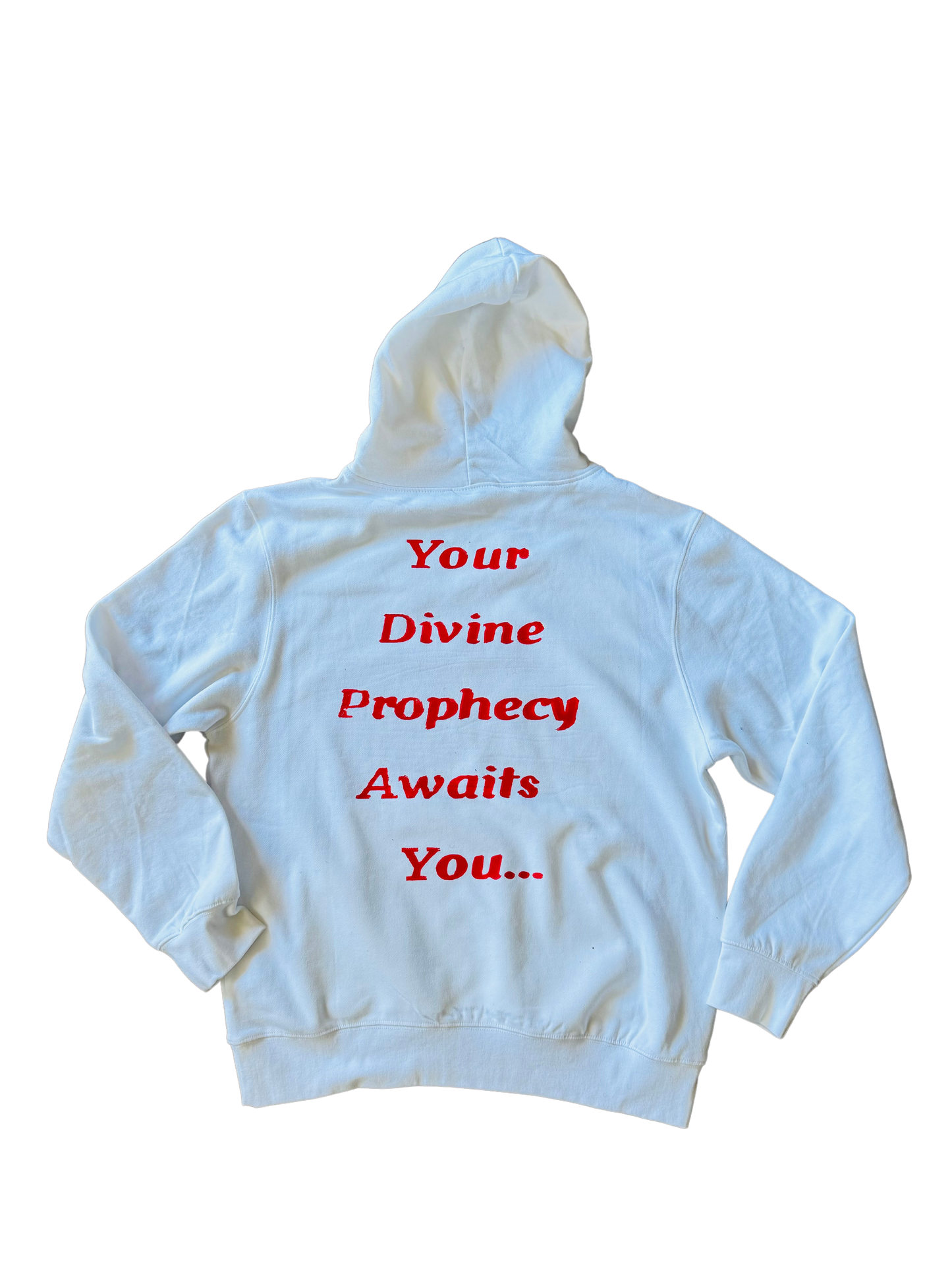 THE DIVINE PROPHECY COLLECTION (Hoodie)