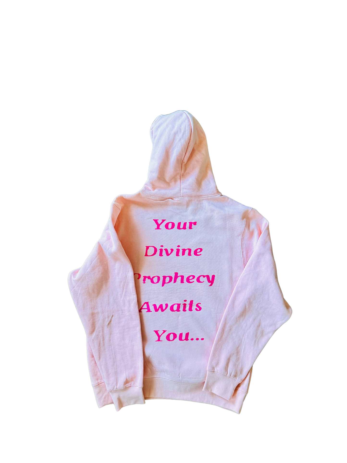 THE DIVINE PROPHECY COLLECTION (Hoodie)