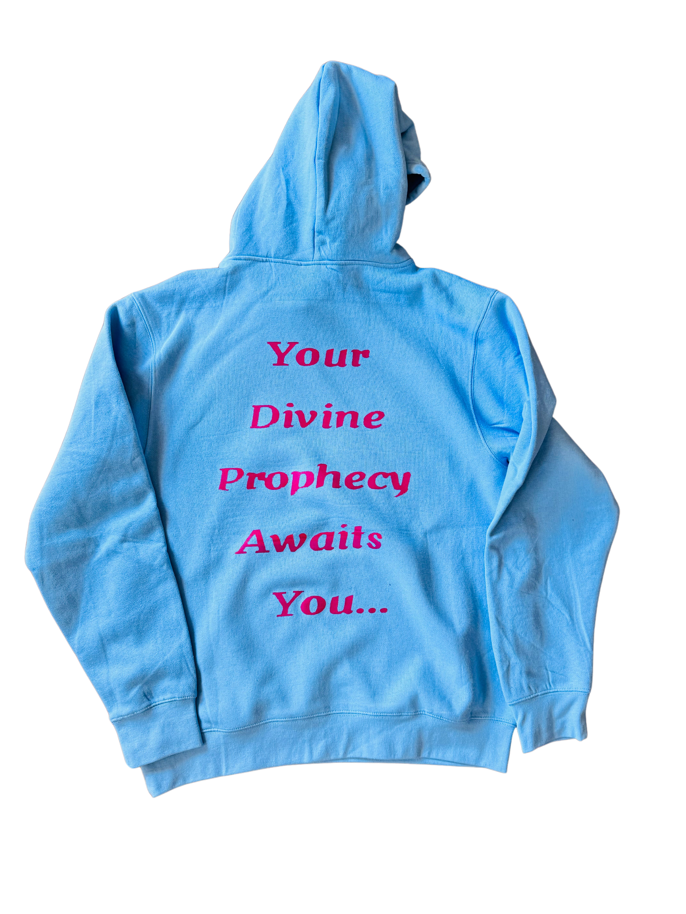 THE DIVINE PROPHECY COLLECTION (Hoodie)